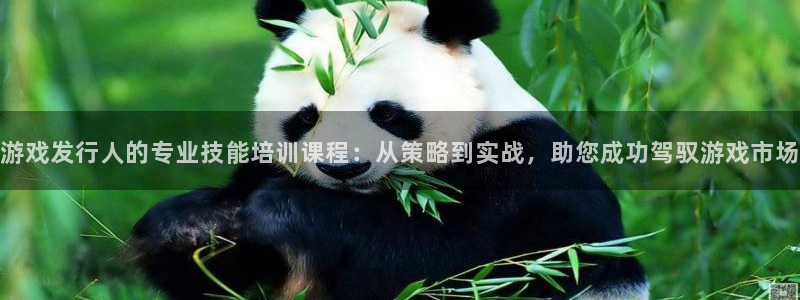 完美电竞官网子文化创意加好友