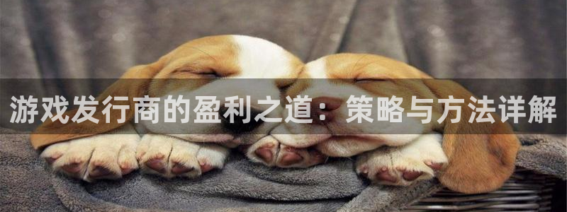 完美电竞官网子文化游戏：游戏发行商的盈利之道：策略与方法详解