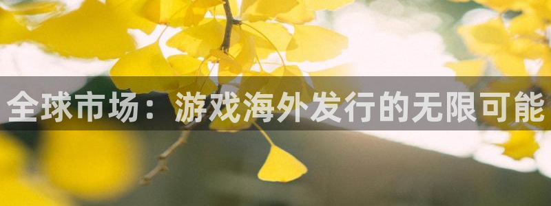 完美电竞官网装饰：全球市场：游戏海外发行的无限可能