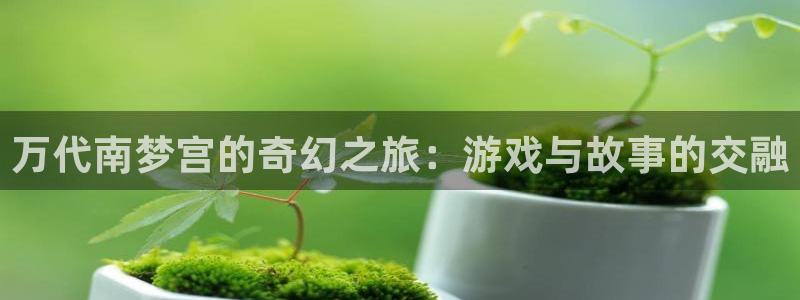 完美电竞登录注册账号：万代南梦宫的奇幻之旅：游戏与故事的交融