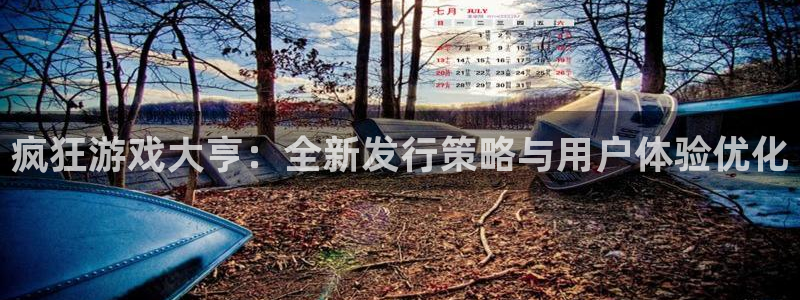 完美电竞登录注册账号失败：疯狂游戏大亨：全新发行策略与用户体验优化