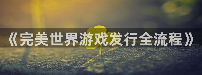 完美电竞解绑银行卡怎么弄：《完美世界游戏发行全流程》