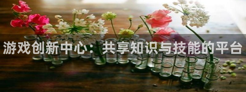 完美电竞客服电话：游戏创新中心：共享知识与技能的平台