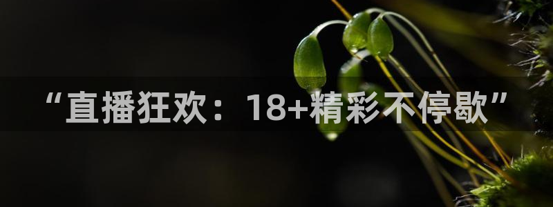 五星体育直播在线直播