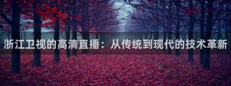 五星体育斯诺克直播在线观看：浙江卫视的高清直播：从传统到现代的技术革新