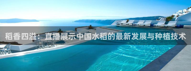 f1直播五星体育在线观看：稻香四溢：直播展示中国水稻的最新发展与种植技术