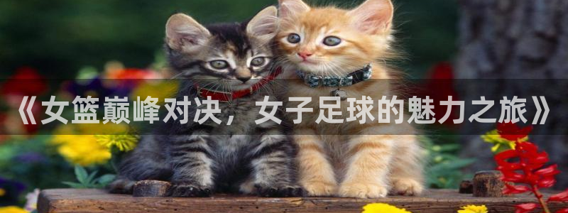 五星体育澳网直播：《女篮巅峰对决，女子足球的魅力之旅》