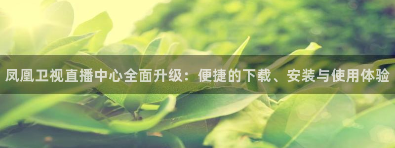 庄夏妍 五星体育：凤凰卫视直播中心全面升级：便捷的下载、安装与使用体验