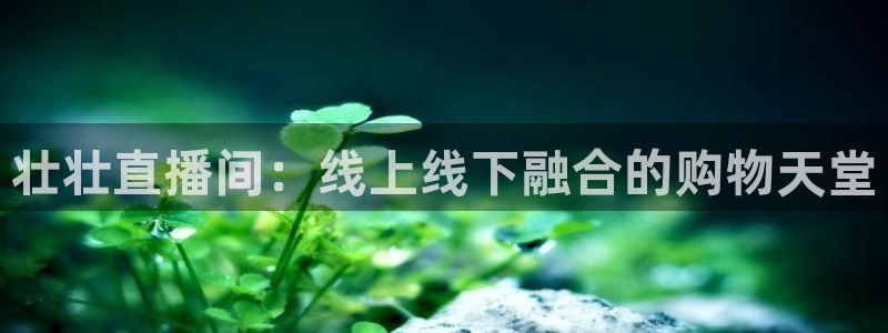 五星体育今天节目表：壮壮直播间：线上线下融合的购物天堂