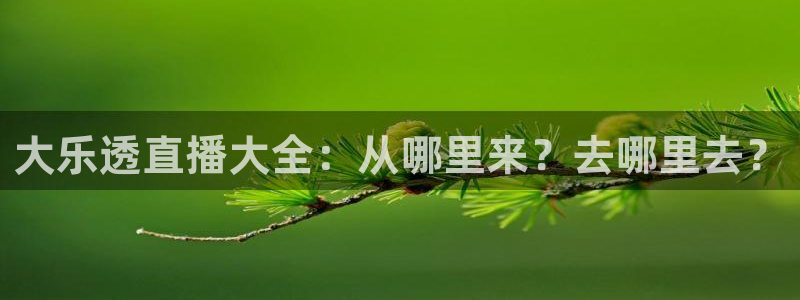 f1录像回放正赛五星体育：大乐透直播大全：从哪里来？去哪里去？